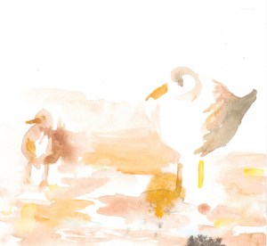 birds watercolor 2011