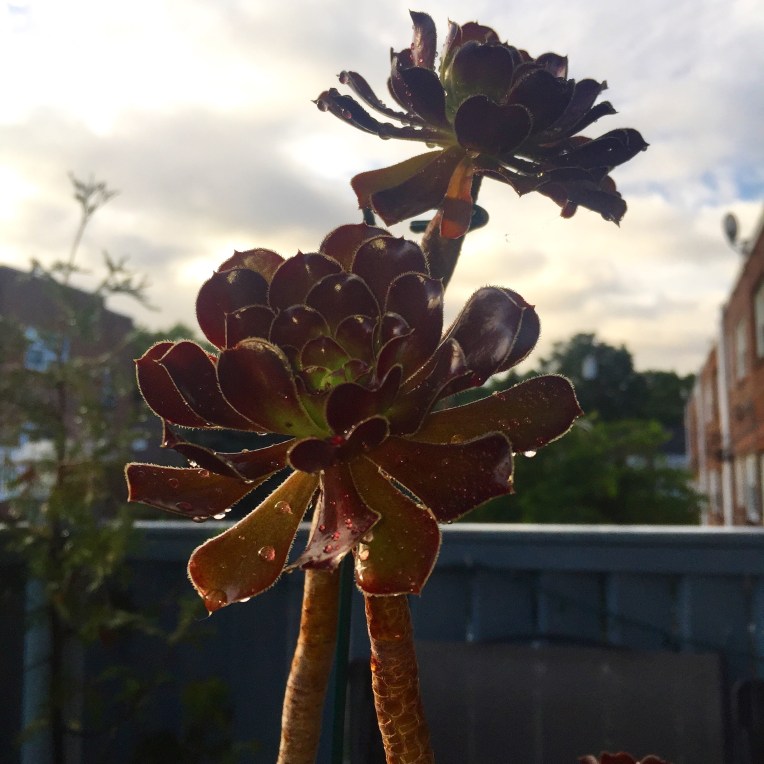 orange chair - 1 (2)
